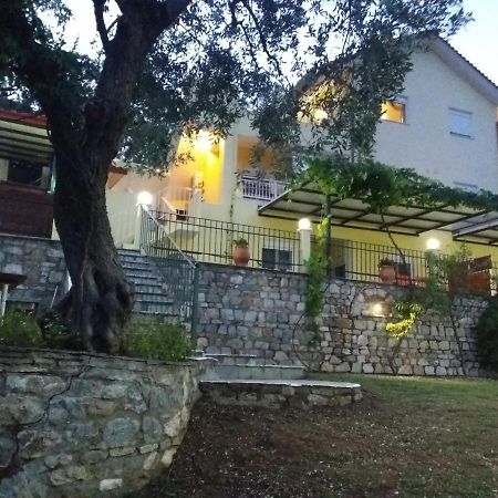 Nestor Apartments 克里斯阿穆迪亚 外观 照片
